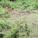 India & Nepal 2011 - 0545